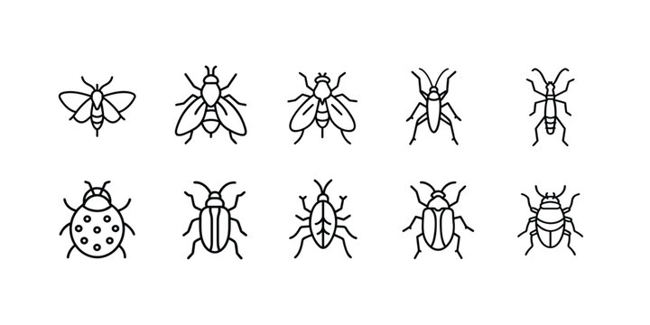 Insects and bugs web line icons set spotted ladybug beetle flying house fly winged moth insect garden bug pest longhorn beetle antenna & more vector illustration with editable stroke