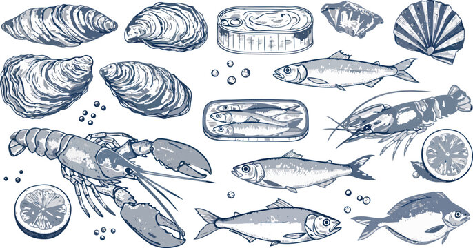 Assortment of seafood including fish and shellfish illustrations