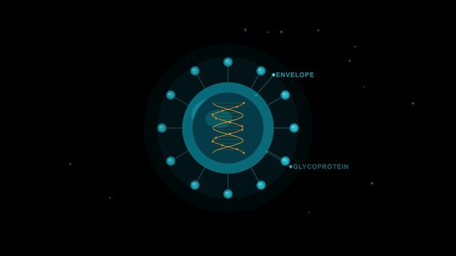Detailed Diagram of Hantavirus Structure and Biological Components. 4K Video