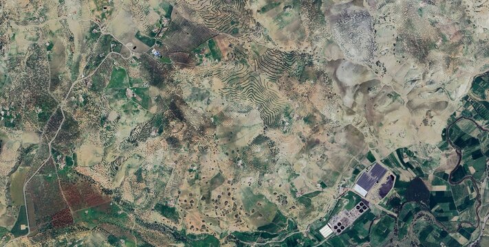 Jebel Zalagh Olive Groves Aerial Pattern, Morocco