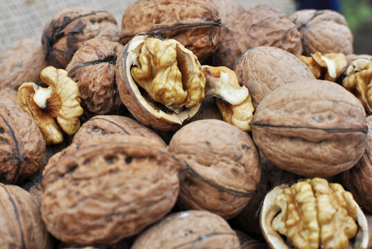 Walnut fruits are collected in a pile