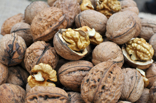 Walnut fruits are collected in a pile