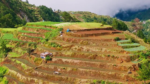 Drone pans left revealing vast farming terraces at Halsema Highroad Atok Benguet