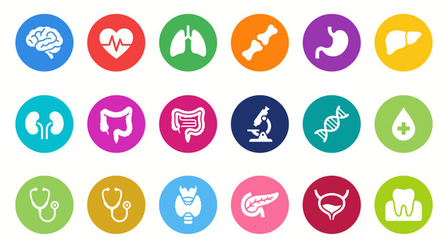 Medical Icons Representing Various Organ Systems and Health Concepts for Healthcare and Science Industries