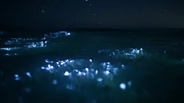 Bioluminescent plankton glow brightly in the dark ocean waves. The magical ocean illuminates with natural light at night.