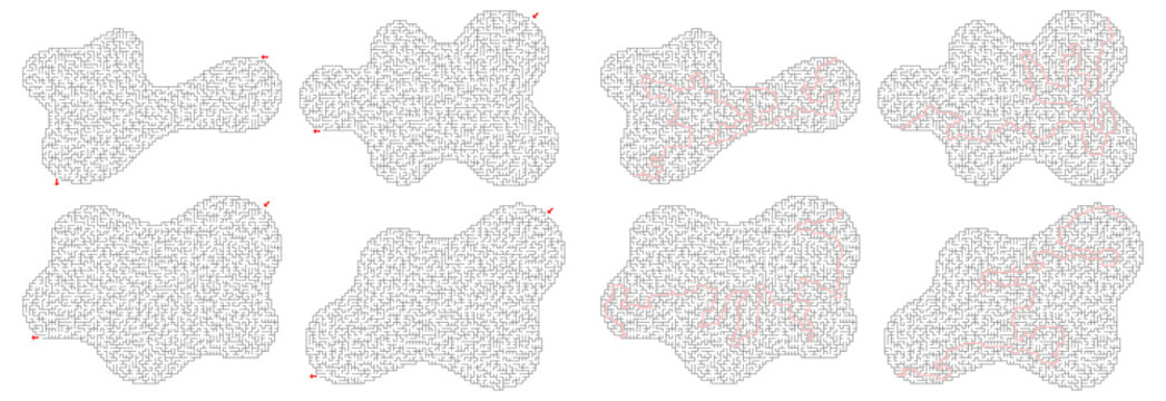 Abstract shape maze labyrinth puzzle set with solution