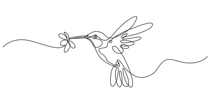 Continuous one line hummingbird bird humming colibri golden logo gold. Hummingbird bird colibri polygon drawing vector green flower wireframe wing abstract art flying background icon light logotypeCon