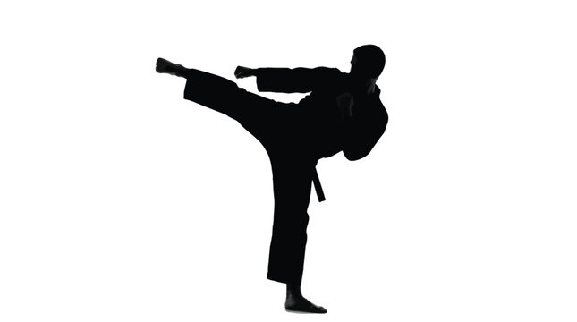 Silhouette of a martial artist performing a powerful high kick against a clean white studio background