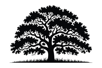 Silhouette of a large oak tree with lush canopy tree trunk silhouette © Sadek