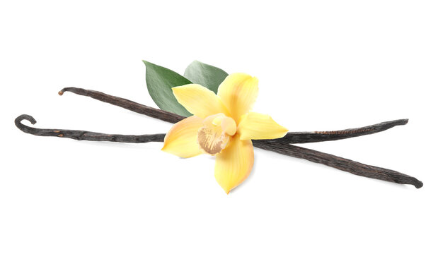 Vanilla pods, flower and leaves isolated on white