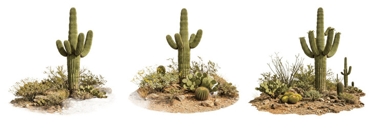 Saguaro Cactus and Desert Plant Group Isolated on White Background, 3D Illustration for Arid Landscape Design, Southwestern US Branding, and Botanical Education Graphic Assets. © B@kle
