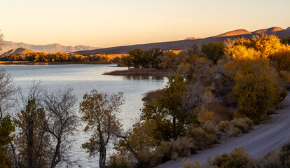 Obraz premium Pahranagat Lake Nevada at Golden Hour with Desert Mountains and Autumn Trees