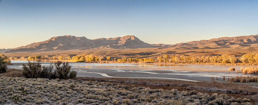 Pahranagat Lake Nevada at Golden Hour with Desert Mountains and Autumn Trees