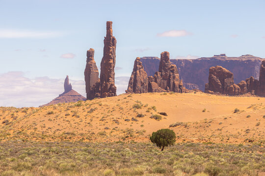 View of the iconic Totem Pole and Yei Bi Chei sandstone spires rising from the desert floor with a lone green tree and sand dunes in Oljato-Monument Valley, Arizona, United States.