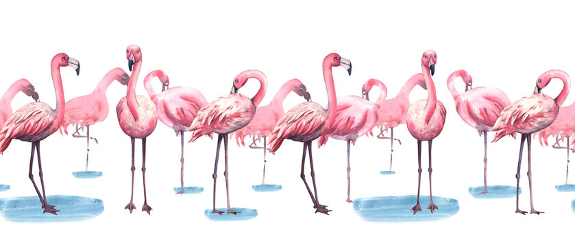 Seamless banner with pink flamingos. Seamless border of watercolor illustration of pink tropical birds. Horizontal pattern of flamingo. Birds in the jungle. Template for invitation, card, cosmetic