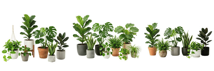 Fototapeta premium Set of Various Small Green Potted Houseplants Isolated on White Background - Trendy Indoor Greenery for Home Office Decor, Interior Design Mockups, and Urban Jungle Graphic Assets
