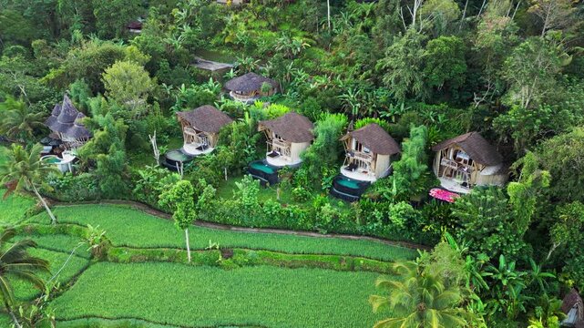 Eco resort villas with plunge pools built with bamboo design among dense tropical vegetation and palm trees captured from smooth aerial drone perspective