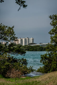 Clearwater Florida Coastal Skyline Viewed Across Water with Tropical Vegetation and Wind Textured Surface