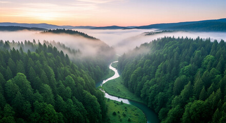 Fototapeta premium Winding river through a misty forest at sunrise or sunset. Peaceful natural landscape for travel, tourism, and environmental concepts