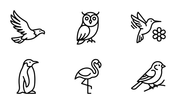 Minimalist Bird Icons Set: Eagle, Owl, Hummingbird, Penguin, Flamingo, Finch, Vector Graphics for Nature and Wildlife Themes