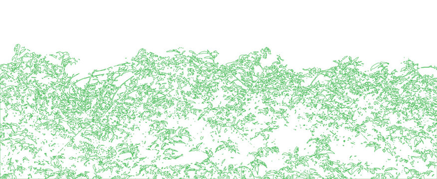 Minimal style CAD foliage border line drawing, graphics vegetation elements outline symbol for architecture landscape design drawing. Vector illustration. garden section