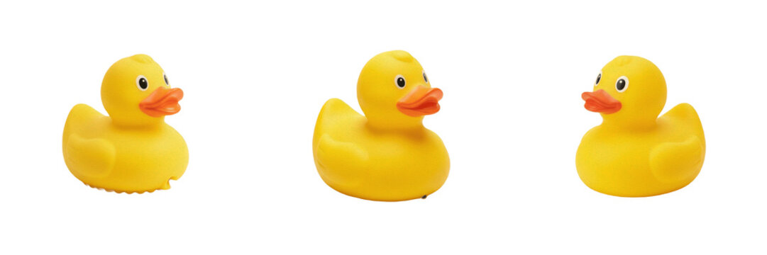 Set and collection of yellow rubber duck toy isolated on white background