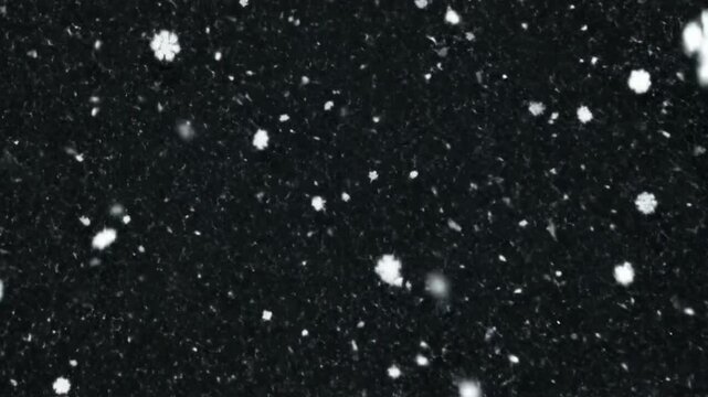 Slowly falling snowflakes on a black background create a simple winter feeling during the evening time