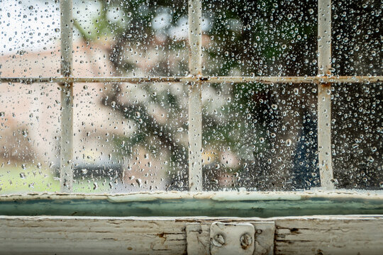 ventana clasica de madera de pinotea con el vidrio lleno de gotas de lluvia y la reja de hierro blanco , con un fondo que se ven imagenes de plantas , dando una sensacion de tranquilidad y seguridad 