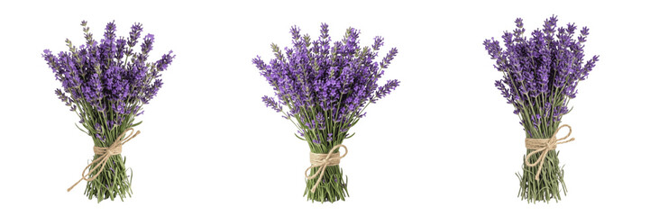 Obraz premium Set and collection of bunch of fresh lavender flowers isolated on white background