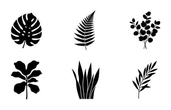 Monstera, Fern, Eucalyptus & Fiddle Leaf Fig Leaves, Minimalist Botanical Vector Icons, Tropical Plant Silhouettes for Design