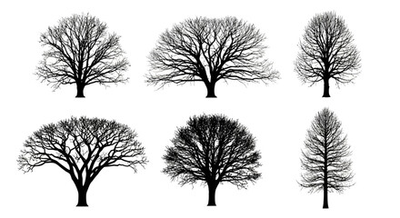 Obraz premium A diverse collection of elegant bare tree silhouettes, showcasing the unique forms of various deciduous trees during the winter season, ideal for nature-themed graphic design and seasonal projects