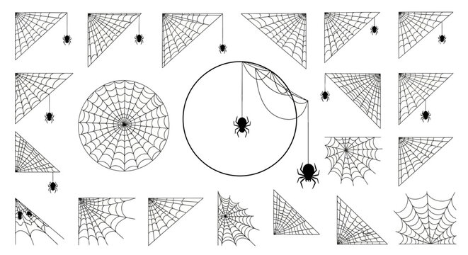 Diverse collection of vector spider web designs and crawling spiders, perfect for Halloween decorations, spooky themes, or graphic embellishments