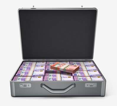 Open metal briefcase filled with stacks of Albanian Lek banknotes