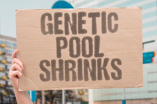 "Genetic Pool Shrinks" The genetic diversity available for future crop breeding is narrowing fast. GENETIC. DIVERSITY. CROP. BREEDING. NARROWING.