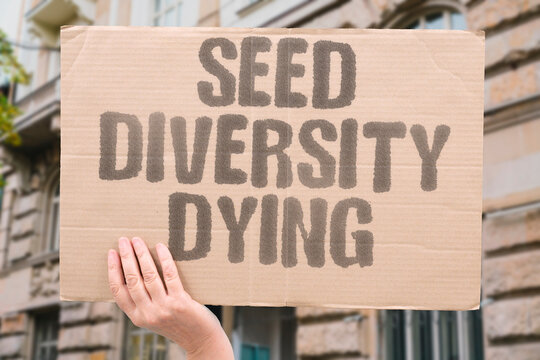 "Seed Diversity Dying" Global crop seed diversity is collapsing as monocultures dominate agriculture. CROP. SEED. DIVERSITY. MONOCULTURES. AGRICULTURE.