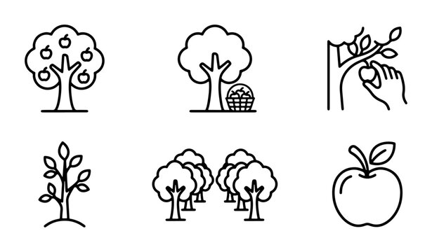 Apple Tree Icons, Orchard Rows, Fruit Picking, Harvest Basket, Single Apple, Seedling Vector Graphics for Agriculture and Healthy Eating Concepts