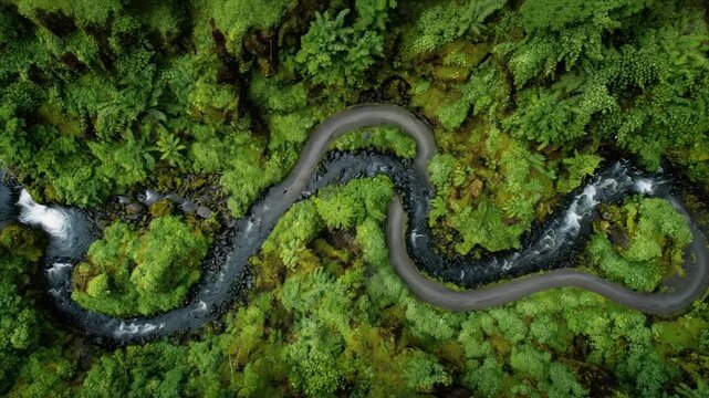 An aerial view of a winding road and river cutting through lush green forest