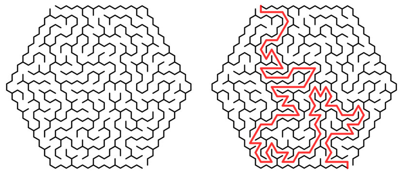 Hexagonal labyrinth puzzle with highlighted solution path