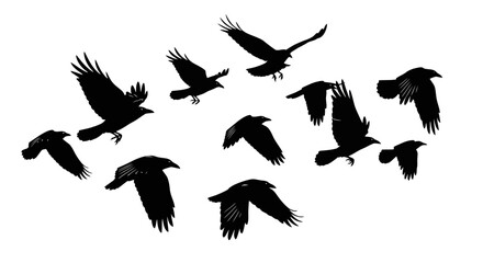 Silhouette of flying black birds. © Hantu