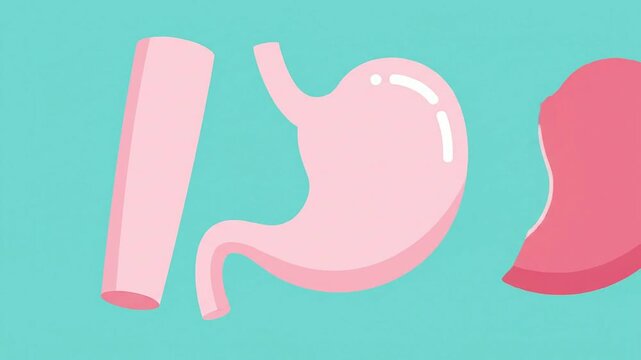 2D Flat Design Animation of Bariatric Sleeve Gastrectomy Surgery Process with Vibrant Turquoise Background for Medical Educational Use