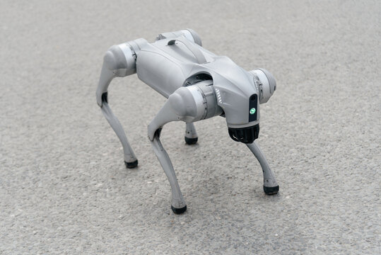 grey robot dog in city street, entertainment for kids, amusement, modern robotic technology