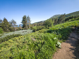 Fototapeta premium Spring Panorama of Vitosha Mountain, Bulgaria