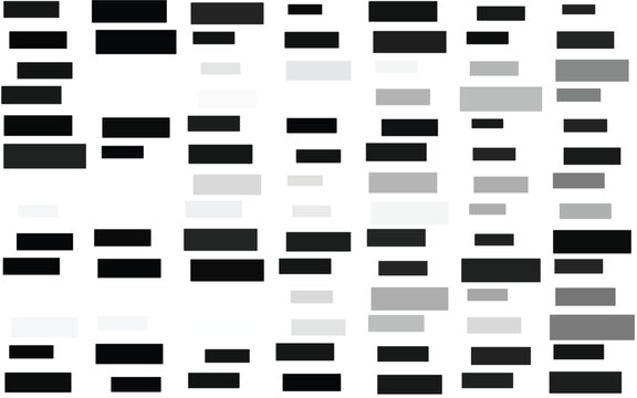 Abstract redacted text blocks vector, black and grey censored document bars, confidential information masking elements for privacy and security design