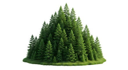 Obraz premium Evergreen forest patch isolated on transparent background