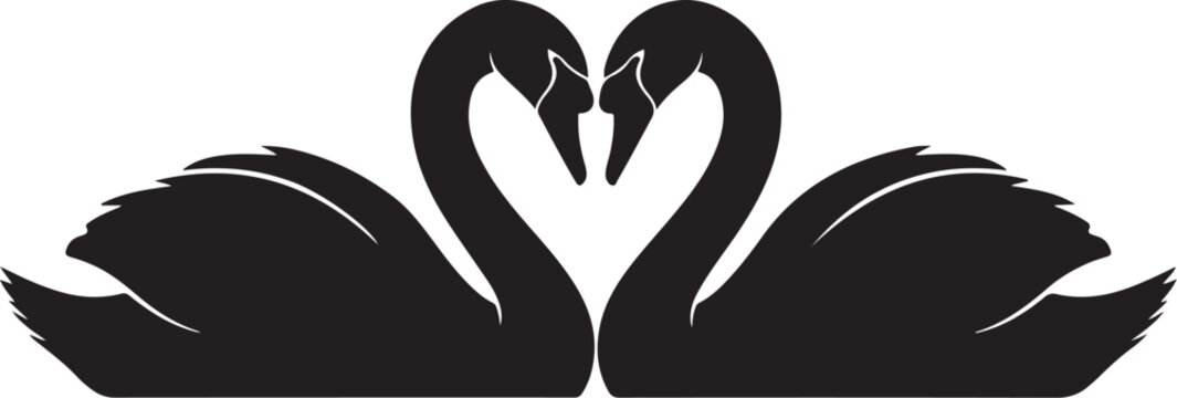 Black swan couple, heart shape, love birds, romantic vector icons