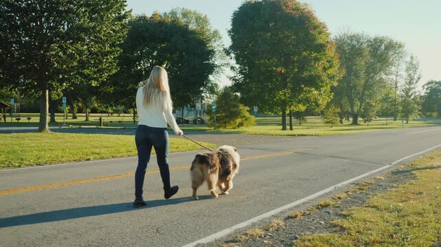 Woman walking Australian Shepherd dog on leash on paved road in park during autumn afternoon sunlight.