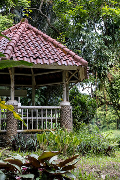 An old gazebo with a terracotta tile roof sitting inside Bogor Botanical Garden, half covered by tall tropical trees and garden plants all around it.