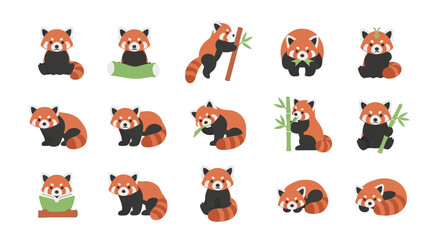 Set of red panda illustrations in various poses for design and graphics © Lila