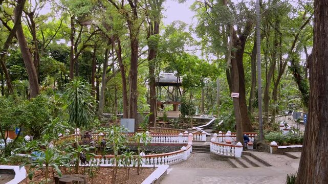 Lush urban park with dense trees, landscaped paths, and small central structure in downtown Cuernavaca, Morelos, Mexic