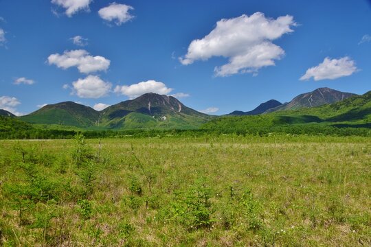 奥日光 戦場ヶ原　新緑の季節